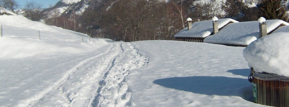 Mimi10.2012 006.JPG